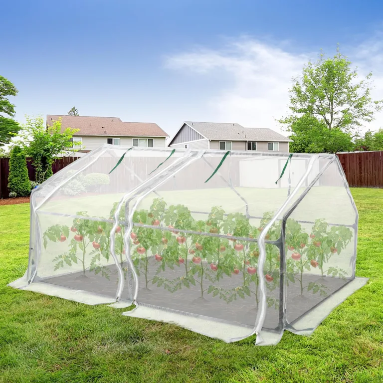 ACXIN Foliengewächshaus Tomatenhaus Frühbeet mit Spitzdach Niedriges Gewächshaus Atmungsaktiv Insektenabweisend Pflanzenhaus für Gemüse Kräuter Tomaten Garten Balkon Weiß 180 x 90 x 90 cm – Bild 7