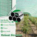 SUBTLETY Gewächshaus 3×2×2 m Foliengewächshaus Belüftung Tomatengewächshaus mit Fenstern & Reißverschlusstürenk, Folientunnel aus Verzinktem Stahlrahmen Frostschutz für Gartenpflanzen, Grün - Thumbnail 4