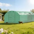Foliengewächshaus 300x800x200CM PE Plane 140g/m²,Foliengewächshäuser mit Erdanker & Seilen,Gartenhäuschen für Garten Pflanzen Grün - Thumbnail 7