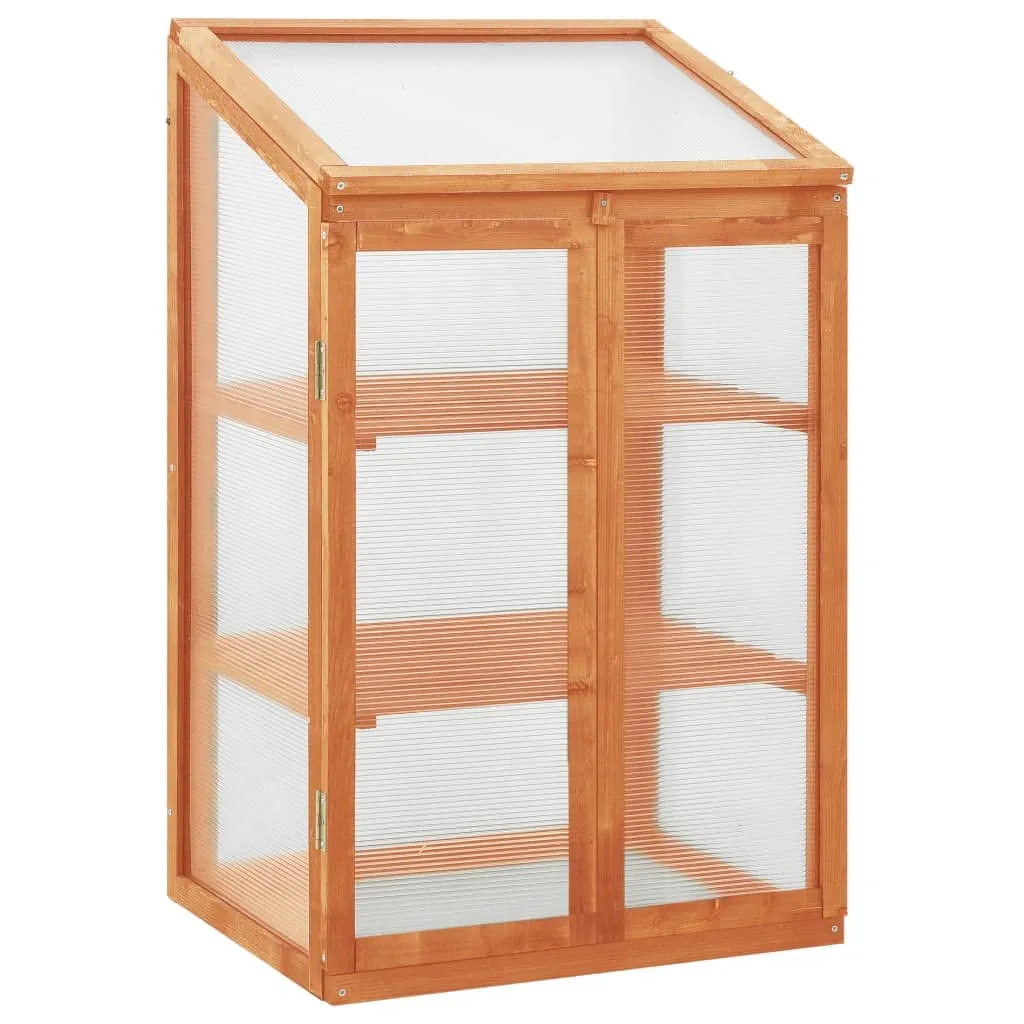 Holz-Gewächshaus Tannenholz 60x45x100 cm mit PC-Platten und 2 Regalen, Klappdeckel für einfaches Gießen, stabiles Garten-Gewächshaus für Pflanzen und Kräuter - Bild 1