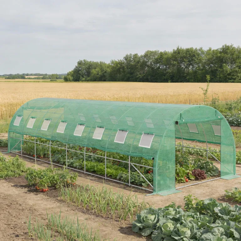 LZQ Begehbares Foliengewächshaus 3x8x2 m – Robustes Tomatenhaus mit verzinktem Stahlrahmen, Reißfester UV-Schutzfolie, Fenstern mit Insektenschutz und 2 Türen, Gewächshaustunnel für Garten & Anzucht – Bild 2