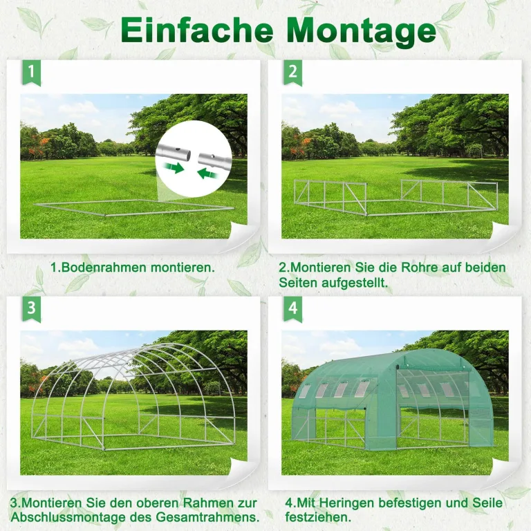 LZQ Begehbares Foliengewächshaus 3x8x2 m – Robustes Tomatenhaus mit verzinktem Stahlrahmen, Reißfester UV-Schutzfolie, Fenstern mit Insektenschutz und 2 Türen, Gewächshaustunnel für Garten & Anzucht – Bild 4