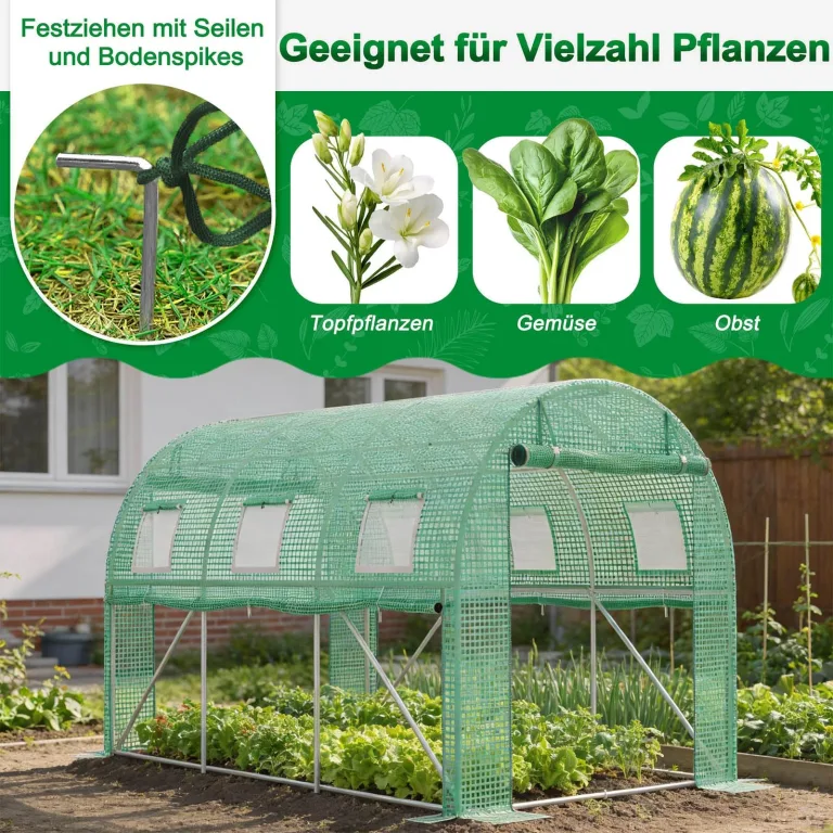 LZQ Begehbares Foliengewächshaus 3x8x2 m – Robustes Tomatenhaus mit verzinktem Stahlrahmen, Reißfester UV-Schutzfolie, Fenstern mit Insektenschutz und 2 Türen, Gewächshaustunnel für Garten & Anzucht – Bild 7
