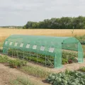 LZQ Begehbares Foliengewächshaus 3x8x2 m – Robustes Tomatenhaus mit verzinktem Stahlrahmen, Reißfester UV-Schutzfolie, Fenstern mit Insektenschutz und 2 Türen, Gewächshaustunnel für Garten & Anzucht - Thumbnail 2