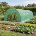 LZQ Begehbares Foliengewächshaus 3x8x2 m – Robustes Tomatenhaus mit verzinktem Stahlrahmen, Reißfester UV-Schutzfolie, Fenstern mit Insektenschutz und 2 Türen, Gewächshaustunnel für Garten & Anzucht - Thumbnail 9