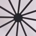 Gewächshaus Aluminium mit Polycarbonatplatten 240×211×232 cm robustes Treibhaus Gartenhaus für Pflanzen mit UV-beständigem wärmeisolierendem Schutz frostfest für Terrasse Balkon Gemüse - Thumbnail 4