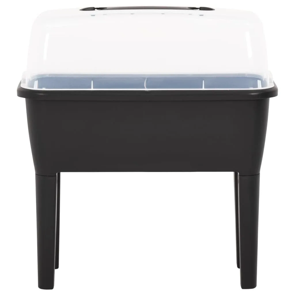 PP Hochbeet 52 Liter mit Deckel, 77x38,7x82 cm, Frühbeet aus Polypropylen für Garten, Terrasse und Balkon, UV- und frostbeständig, transparente Abdeckung mit Griff für optimales - Bild 1
