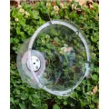 Stück Transparente Pflanzenhaube aus PET mit Lüftung – für Mini Gewächshaus für Pflanzen als Anzuchthaube mit Feuchtigkeitsregler zum Schutz von Keimlingen und Saatgut - Thumbnail 8