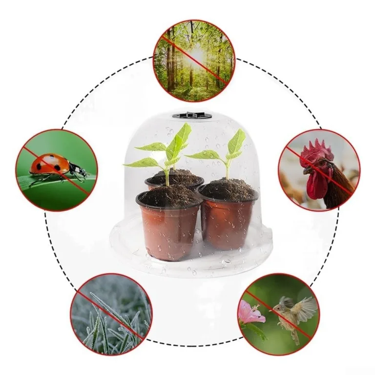 Stück Pflanzenhaube Transparent aus PET mit Verstellbarer Lüftung, für Mini Gewächshaus für Töpfe als Anzuchthaube und Schutz, Klare Abdeckung für Stecklinge im Garten – Bild 2