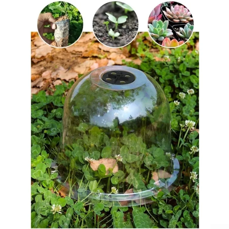 Stück Pflanzenhaube Transparent aus PET mit Verstellbarer Lüftung, für Mini Gewächshaus für Töpfe als Anzuchthaube und Schutz, Klare Abdeckung für Stecklinge im Garten – Bild 6