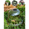 Stück Pflanzenhaube Transparent aus PET mit Verstellbarer Lüftung, für Mini Gewächshaus für Töpfe als Anzuchthaube und Schutz, Klare Abdeckung für Stecklinge im Garten - Thumbnail 6