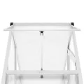 Gewächshaus 169 x 58 x 195 cm – lüftbares Alu-Gewächshaus mit eingebauter Regenrinne und 6 cm Fundamentprofil, silbern/transparent, für Pflanzenschutz im Garten - Thumbnail 9