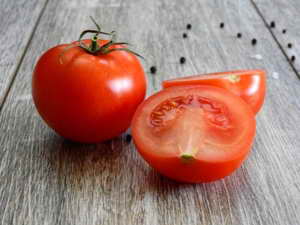 Frische Tomaten aus dem Tomatenhaus ernten