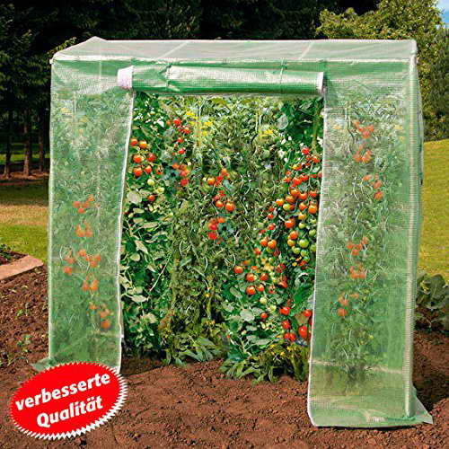 Gärtner Pötschke Tomatenhaus Foliengewächshaus 1,2m²