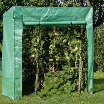 Gewächshaus für Tomaten u. andere Gemüsepflanzen, Treibhaus, T x B x H: ca. 80 x 170 x 190/170 cm - 1