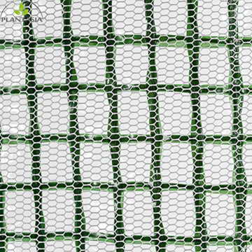 PLANTASIA® Foliengewächshaus Tomatenzelt mit extra langem Überhang, Größenauswahl, UV- und witterungsbeständig - 8