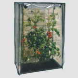 Tomaten - Gewächshaus, Anzuchtsregal, ca. 100x50x150 cm - 1