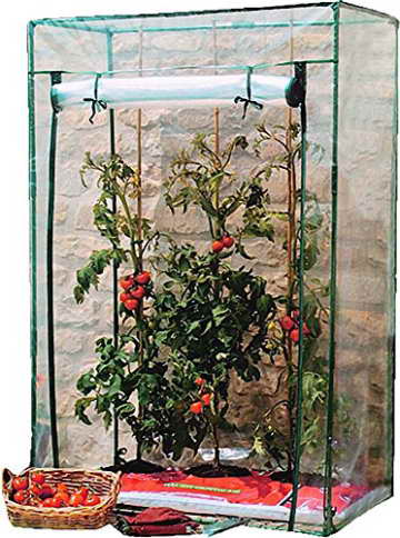 Tomatengewächshaus Foliengewächshaus Mini-Gewächshaus Treibhaus 100 x 50 x 150cm - 1