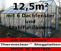 12,5m² PROFI ALU Gewächshaus Glashaus Treibhaus inkl. Stahlfundament u. 6 Fenster, mit 6mm Hohlkammerstegplatten - (Platten MADE IN AUSTRIA) von AS-S - 1