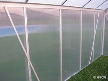 KOMPLETTSET: 7,05m² ALU Aluminium Gewächshaus Glashaus Tomatenhaus, 6mm Hohlkammerstegplatten - (Platten MADE IN AUSTRIA/EU) m. Stahlfundament, 2 Fenster mit 2 autom. Fensteröffner von AS-S - 8
