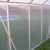KOMPLETTSET: 7,05m² ALU Aluminium Gewächshaus Glashaus Tomatenhaus, 6mm Hohlkammerstegplatten - (Platten MADE IN AUSTRIA/EU) m. Stahlfundament, 2 Fenster mit 2 autom. Fensteröffner von AS-S - 8