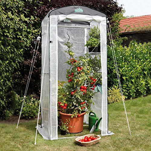 Bio Green WinterGewächshaus PATIO FLORA PTF 100