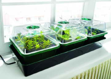 Bio Green Aufzuchtartikel Hollandia Aufzuchtstation, Mehrfarbig - 