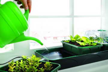 Bio Green Aufzuchtartikel Hollandia Aufzuchtstation, Mehrfarbig - 