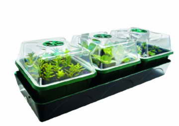 Bio Green Aufzuchtartikel Hollandia Aufzuchtstation, Mehrfarbig -