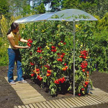 Ing. G. Beckmann KG PSN4 Schutzdach für Pflanzen Größe 4 400 x 112 cm -