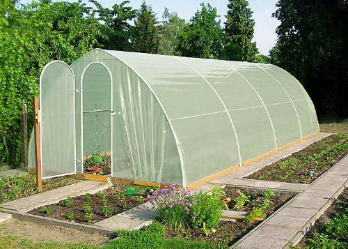 100-250 cm Folien Gewächshaus grün Frühbeet Treibhaus Pflanzen Anzucht Haus 