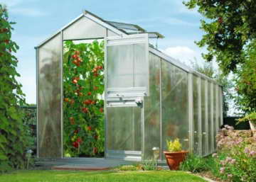 Beckmann Gewächshaus Typ Allgäu Modell S80 256x319 cm -
