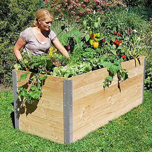 Das richtige HochbeetHolz 3 Holzarten haben sich bewährt
