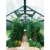BECKMANN Gewächshaus Allplanta 8 GE, BxT: 300x606 cm, grün grün - 