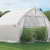 ShelterLogic Foliengewächshaus, Gewächshaus, Tomatengewächshaus 24,4 m² // 390x610 cm (BxT) // Folienhaus & Tomatenhaus * EXKLUSIVPRODUKT * -