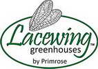 Lacewing Logo